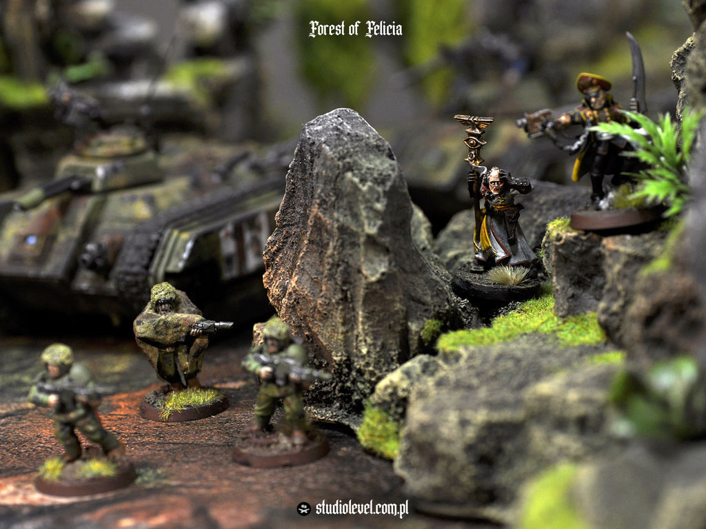 Forest Newbie Set