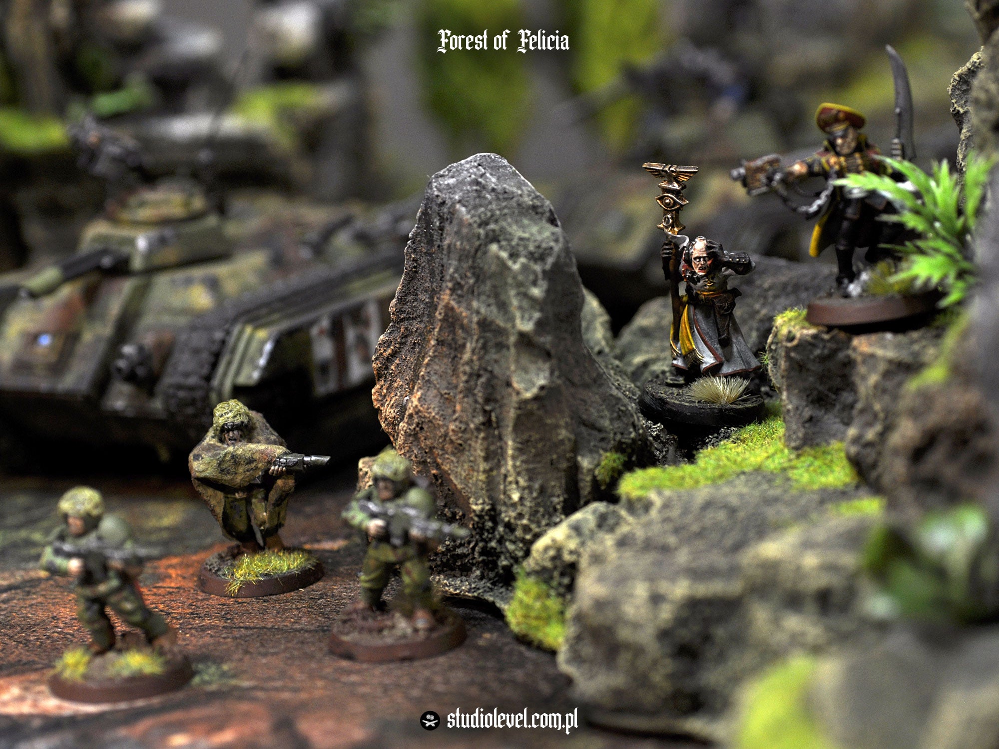Forest Newbie Set