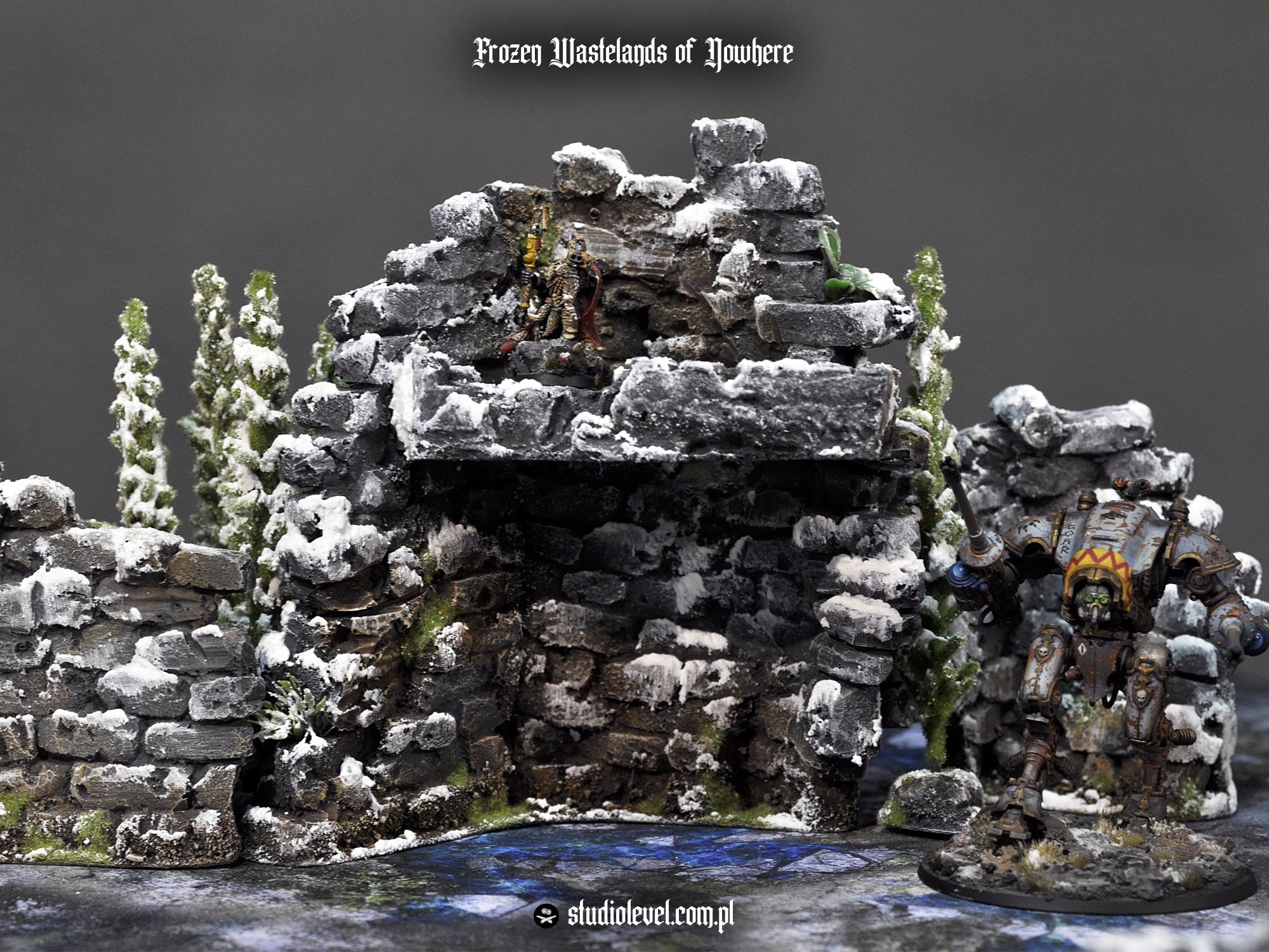 Winter Rookie Set