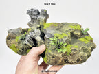 Forest Hobbyist Upgrades Set