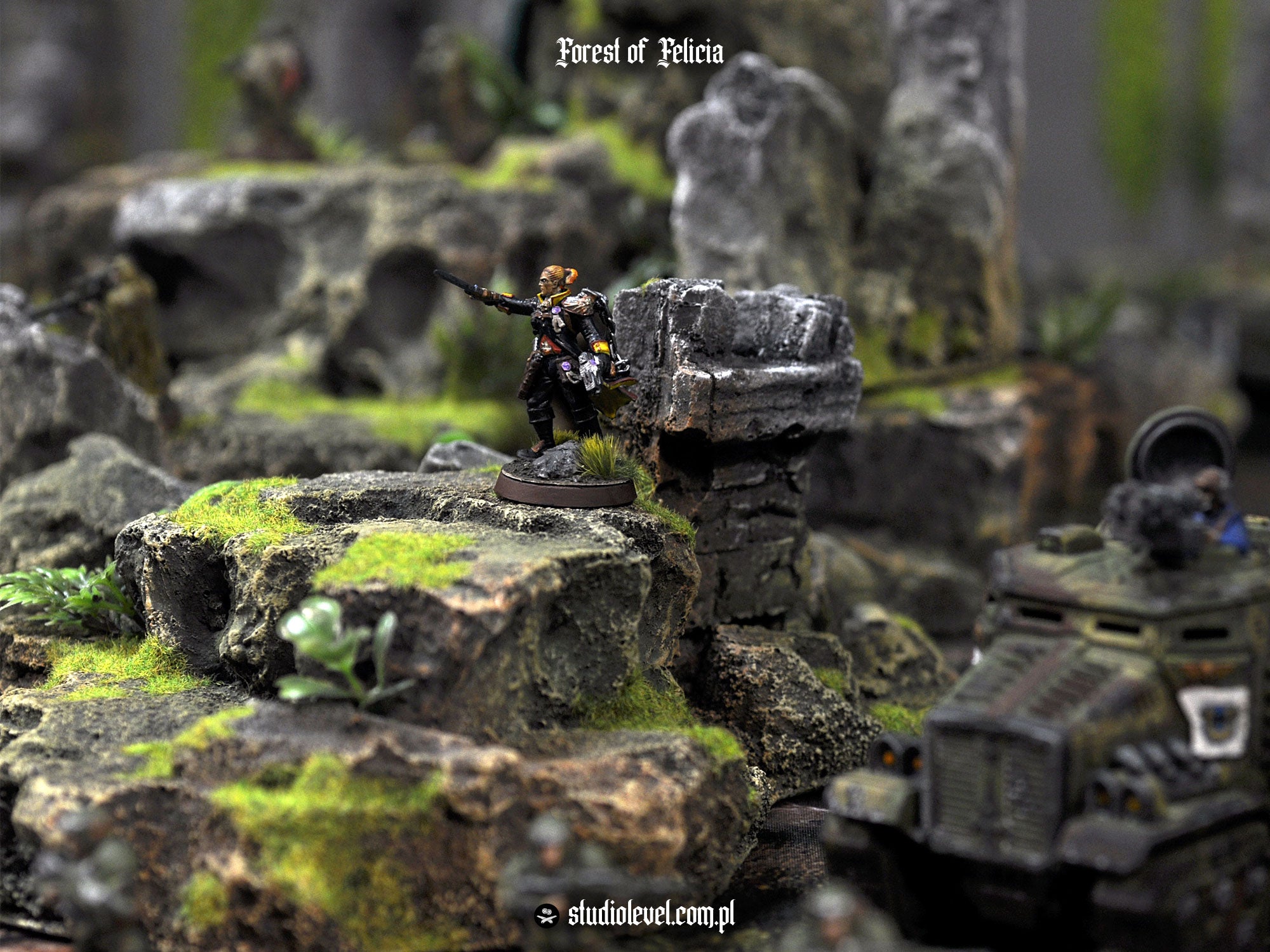 Forest Hobbyist Upgrades Set
