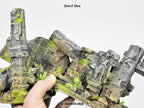 Forest Newbie Set
