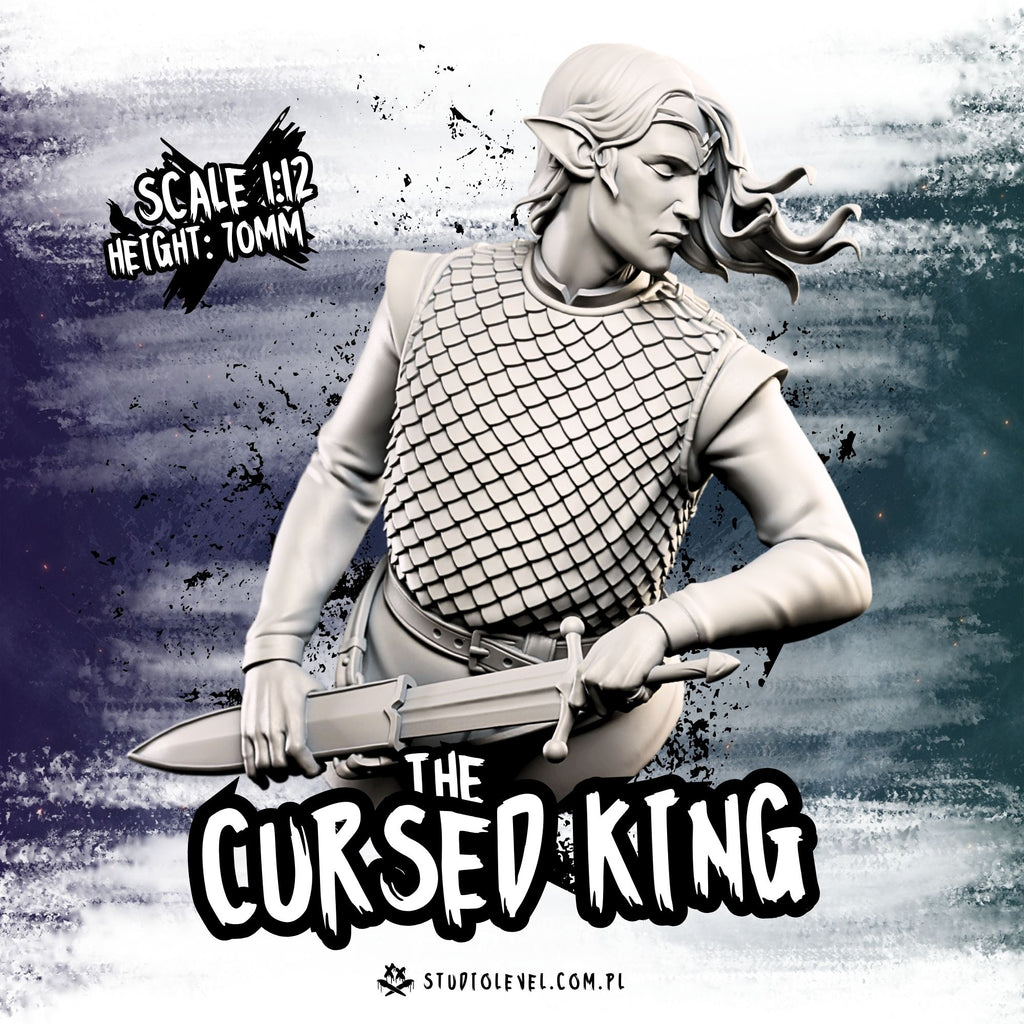 Cursed King: Swordbearer - Bust 1:12 / 1:10
