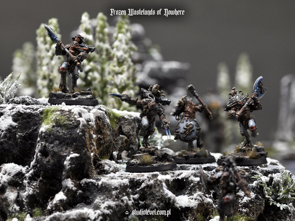 Winter Newbie Upgrades Set