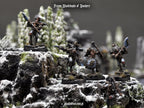 Winter Newbie Upgrades Set