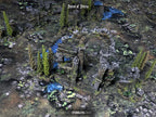 Forest Temple Upgrades Box