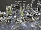 Winter Newbie Set