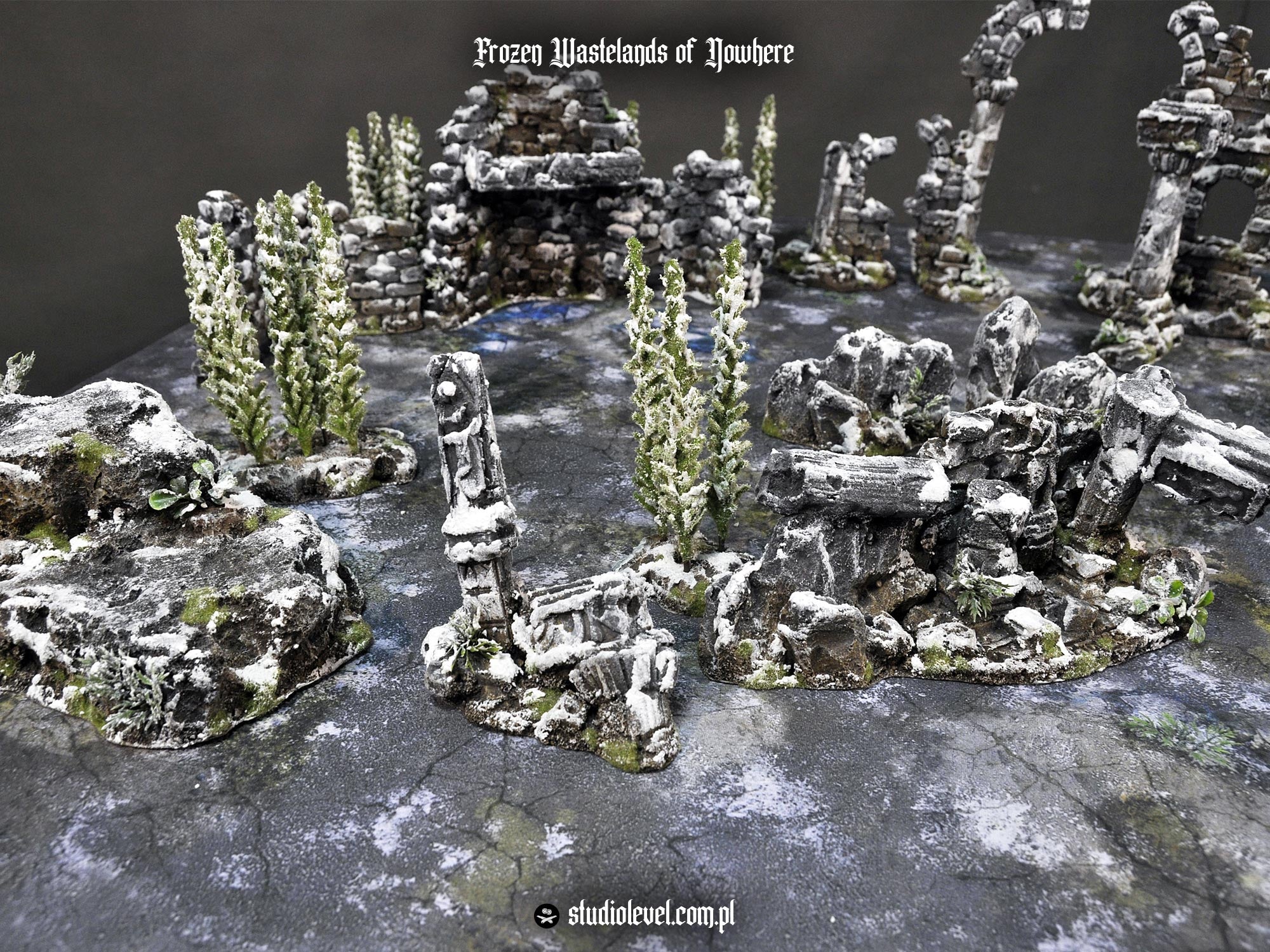 Winter Newbie Set