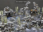 Winter Newbie Set