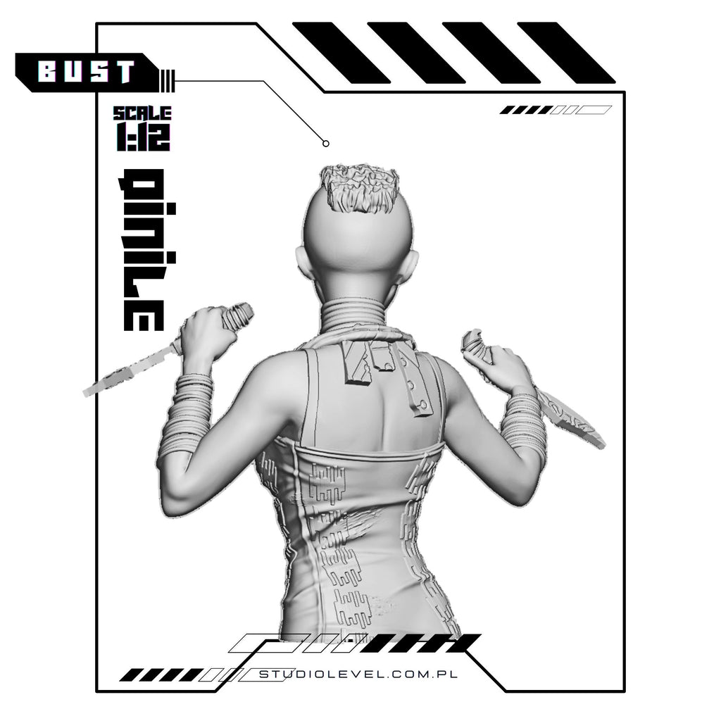 Cpt Qinile - Bust 1:12