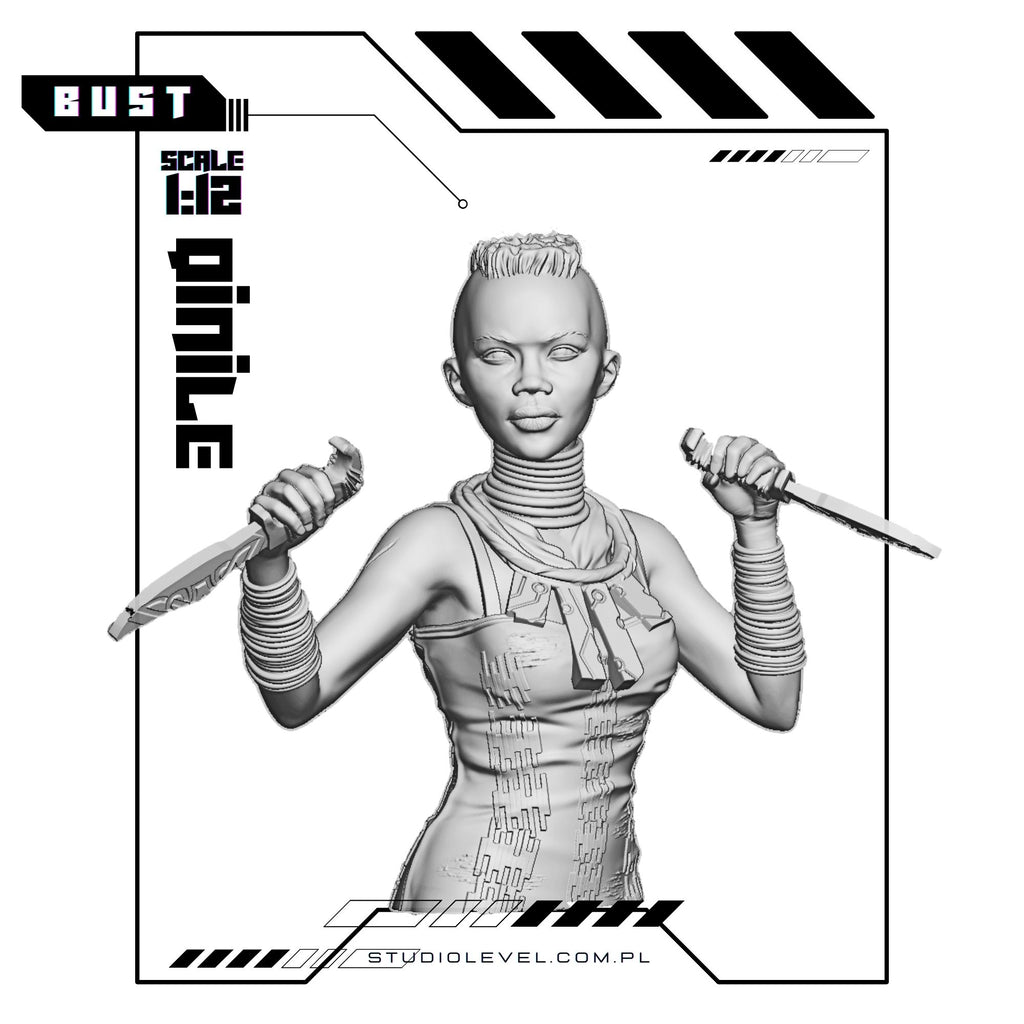 Cpt Qinile - Bust 1:12