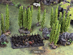 Large Fantasy Set